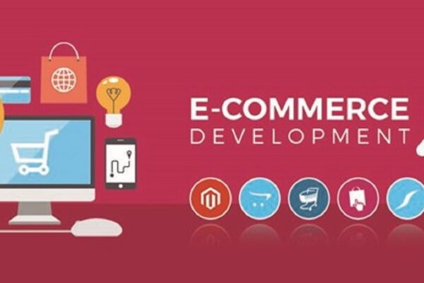 7 Reasons Why You Should Invest in Professional Ecommerce Website Development